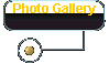 Photo Gallery